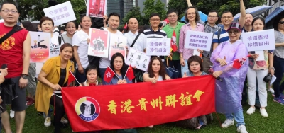 本會強烈譴責嚴重破壞『一國两制』的暴行